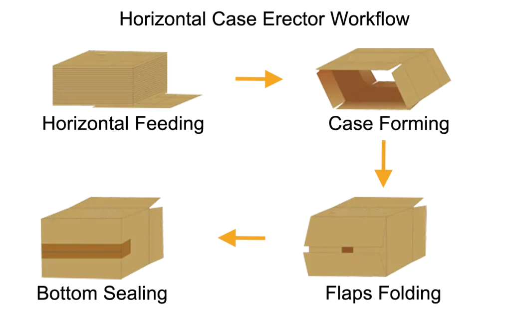 horizontal case erector workflow