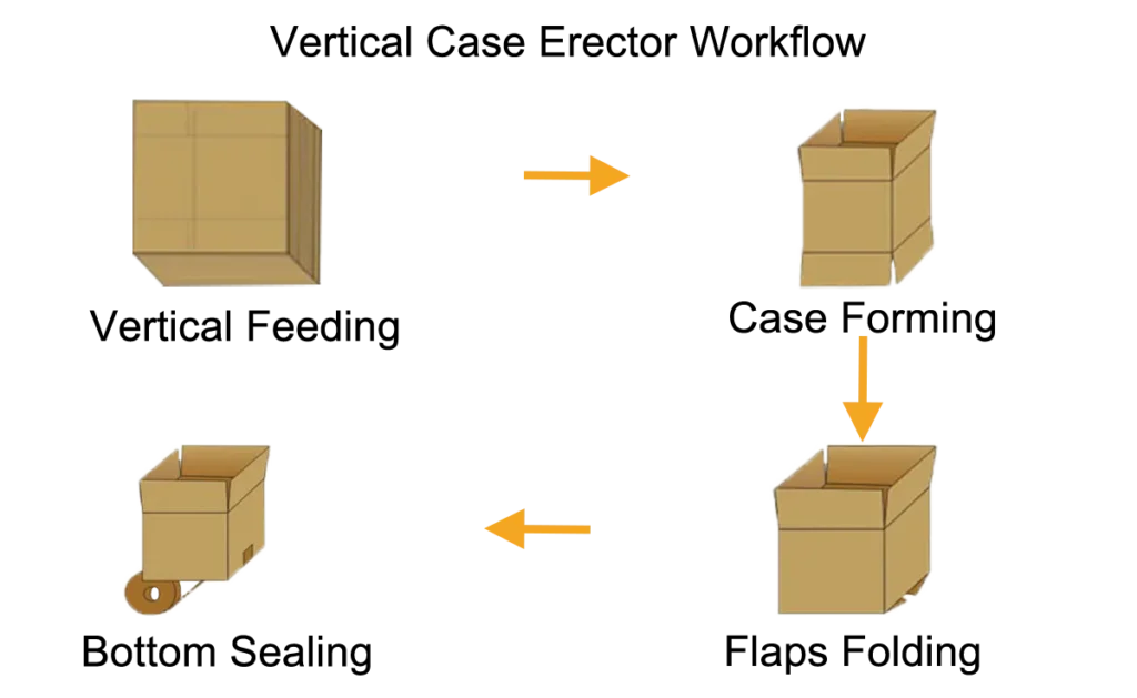 vertical case erector workflow